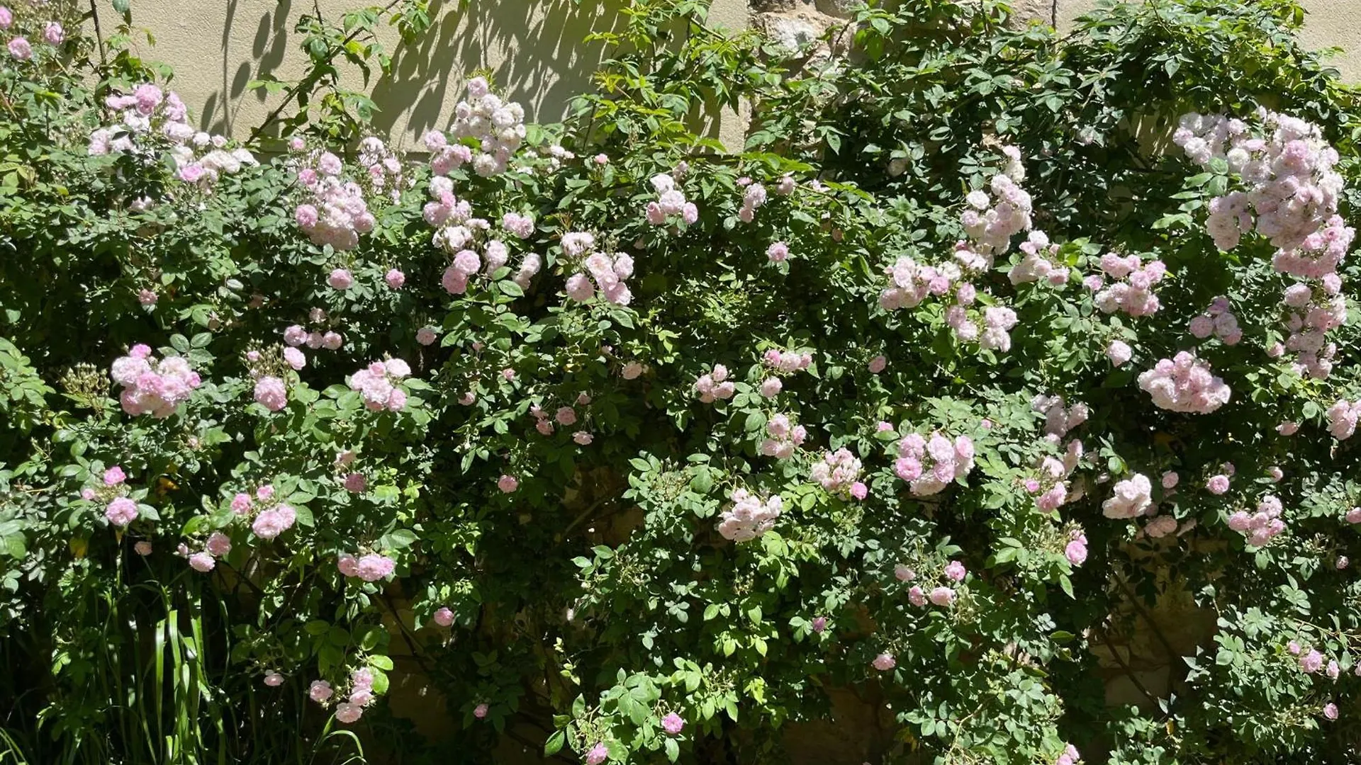 Casa Con Jardin Y Piscina En Cordoba Villa Holiday home